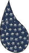 bluestarpaisley.jpg